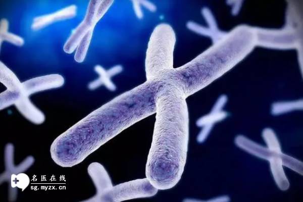 上海试管助孕公司：风疹病毒对怀孕有影响吗,看完就知道如何防护