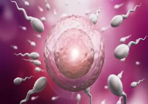 上海试管婴儿价格：月经周期怎么算时间？教你月经周期的准确算法每个女生必须掌握