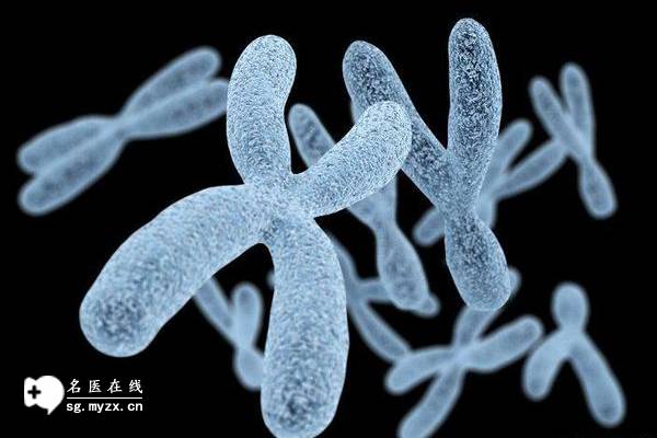 上海助孕中心：囊胚能分化成两个胚胎，但几率一般不高