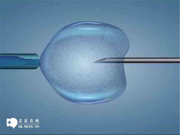 上海三代试管助孕：黄芪对子宫肌瘤的调理作用,黄芪可治疗子宫肌瘤吗