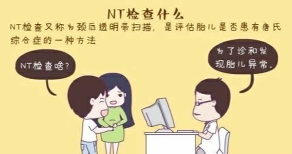 上海助孕公司：胚胎培养需要多长时间,试管一般培育几个胚胎